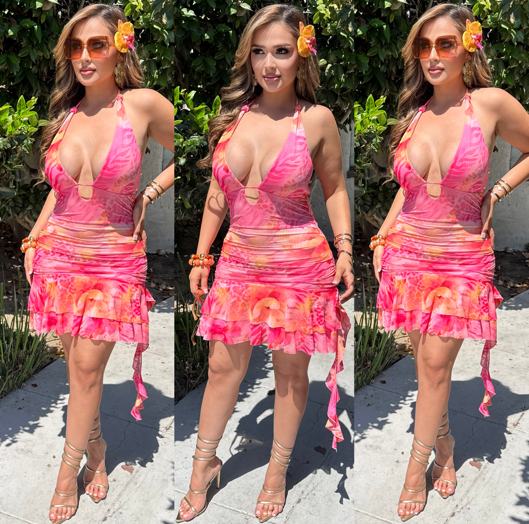 Carolina Dress (Multi)